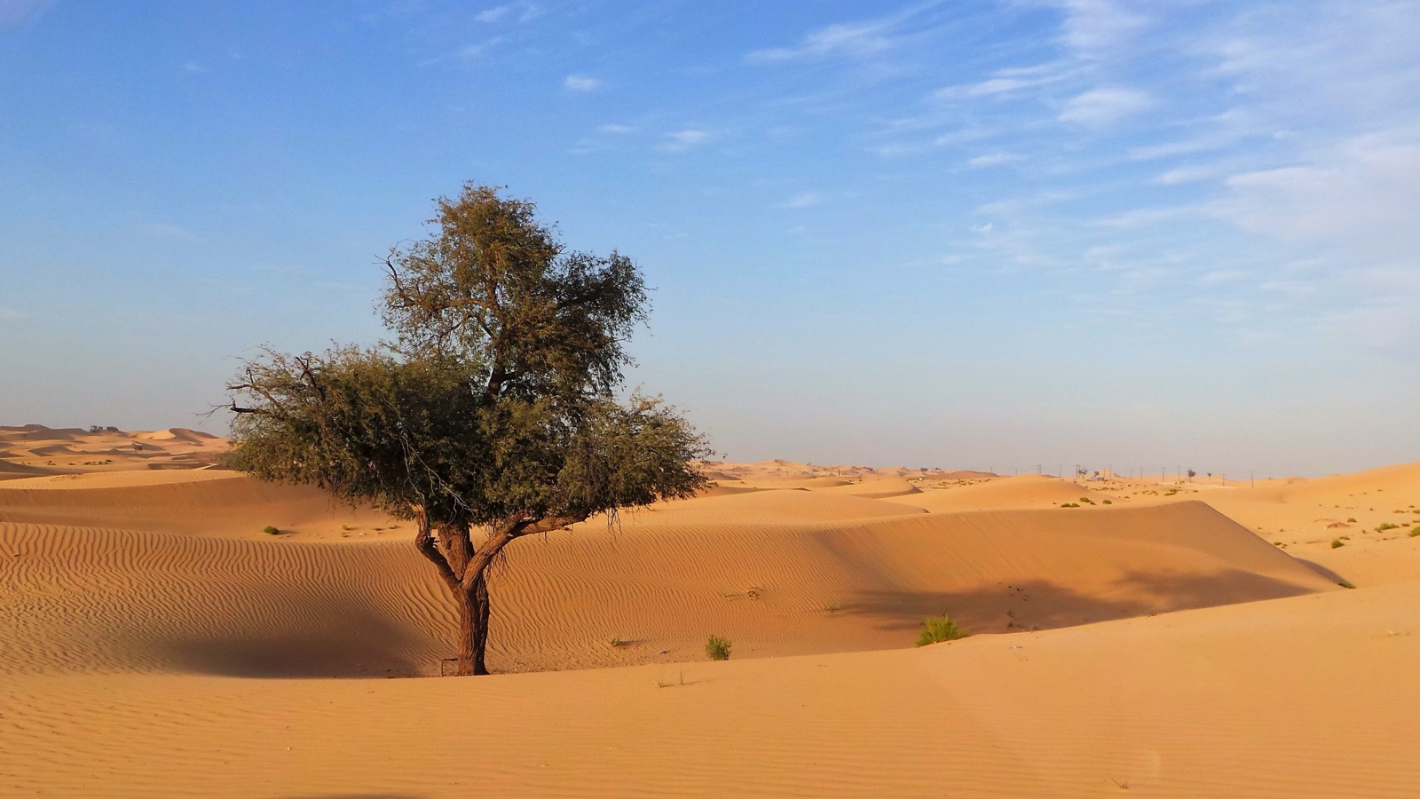 Albareja travel gallery photo 21