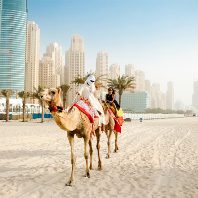 Beach Tours